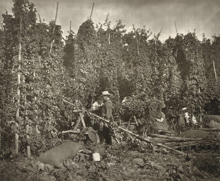 Fig5