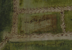 Detail of plan of Derbyshire lands of Roche
                    abbey, showing hedges and fences