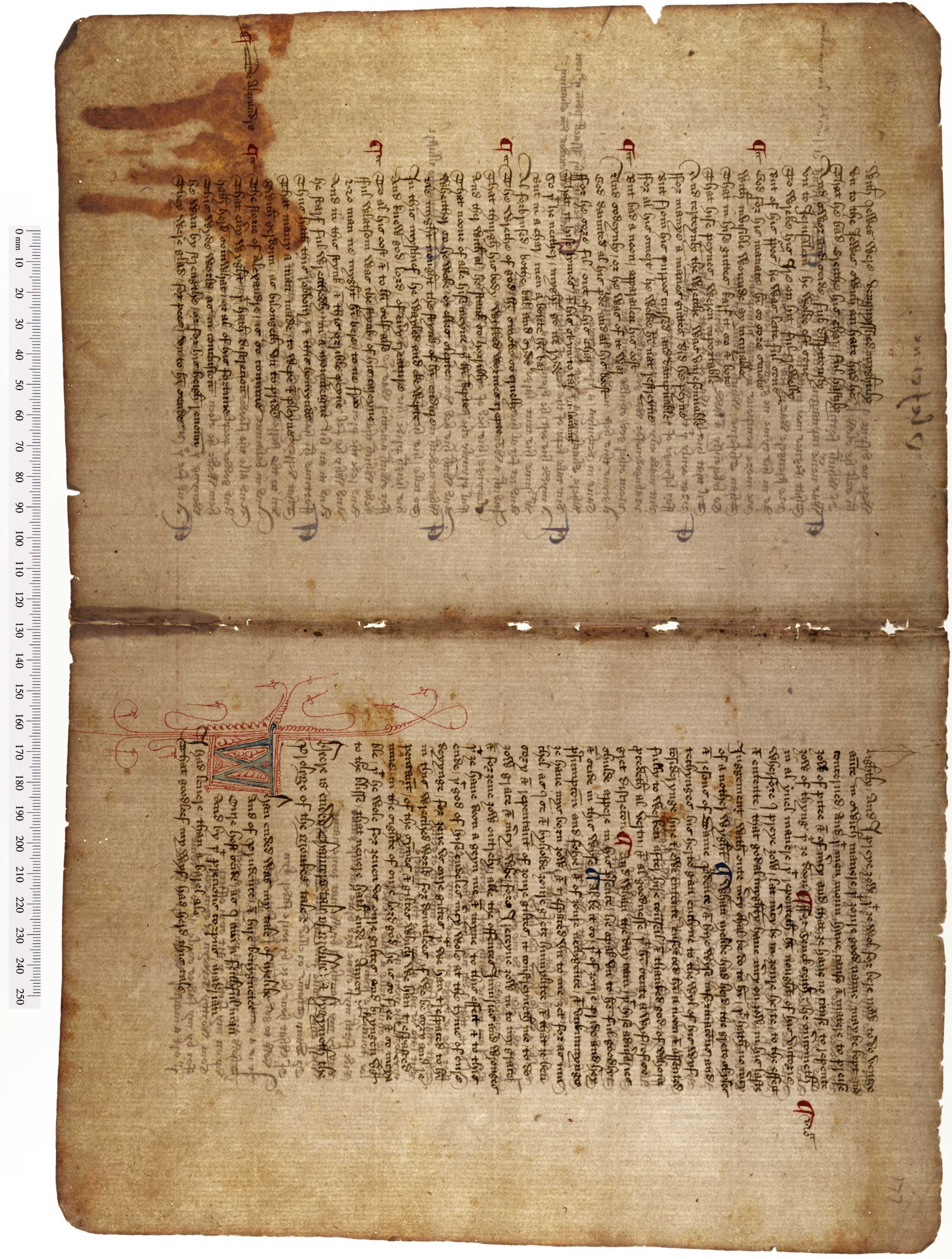Mould | The Dd Manuscript