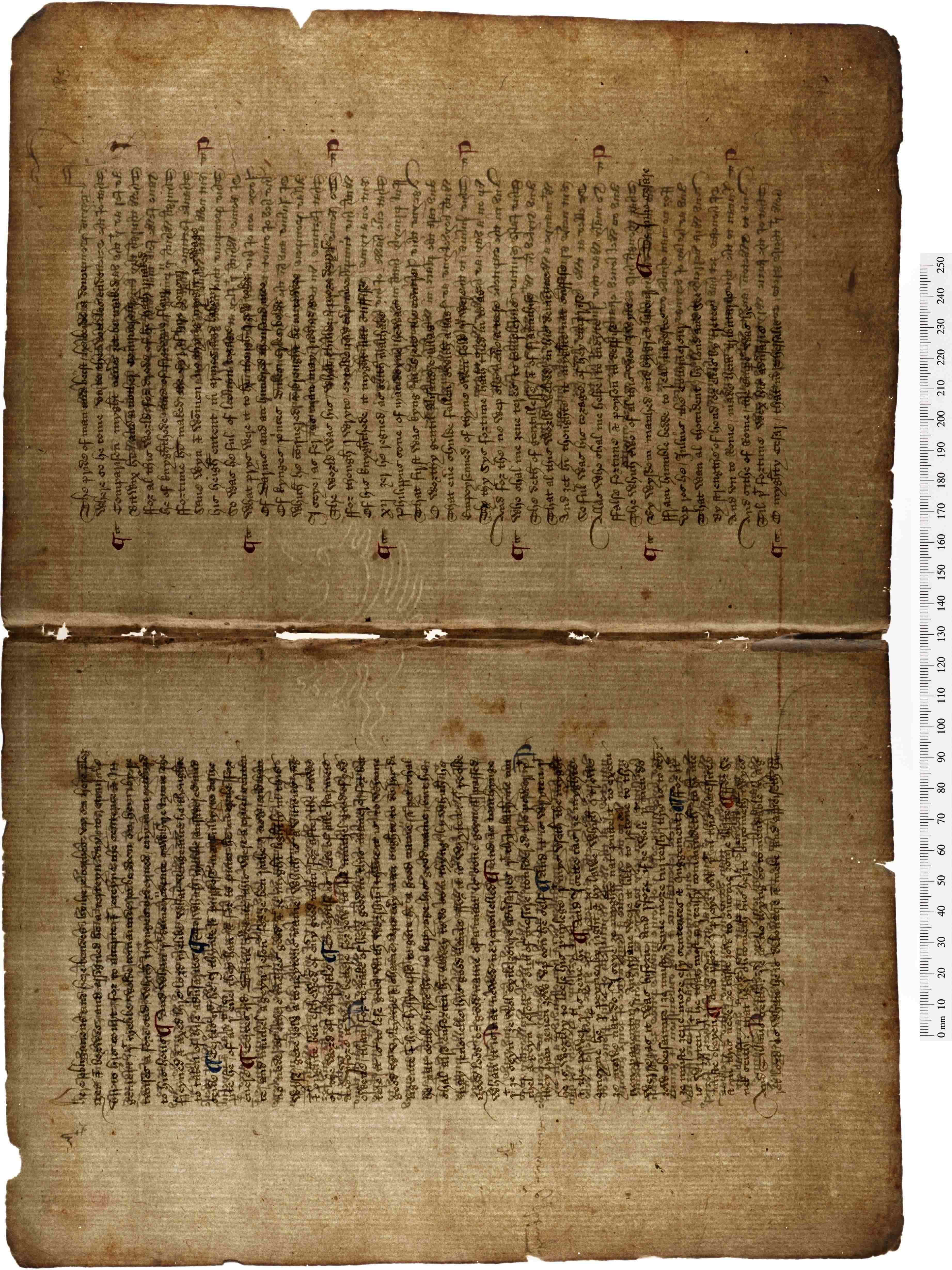 Mould | The Dd Manuscript