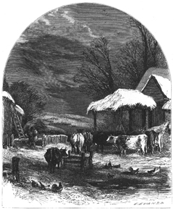 Sliedshow Image