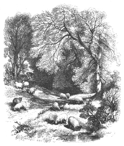 Sliedshow Image