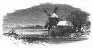 Sliedshow Image